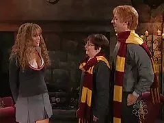 Hardcore lesbians fisted their vagina