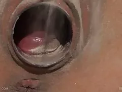 How stretchy can an asshole be?